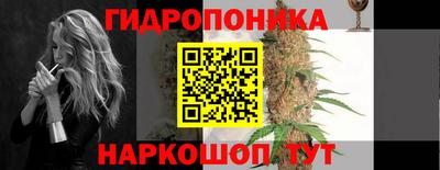 гидра Рыбинск