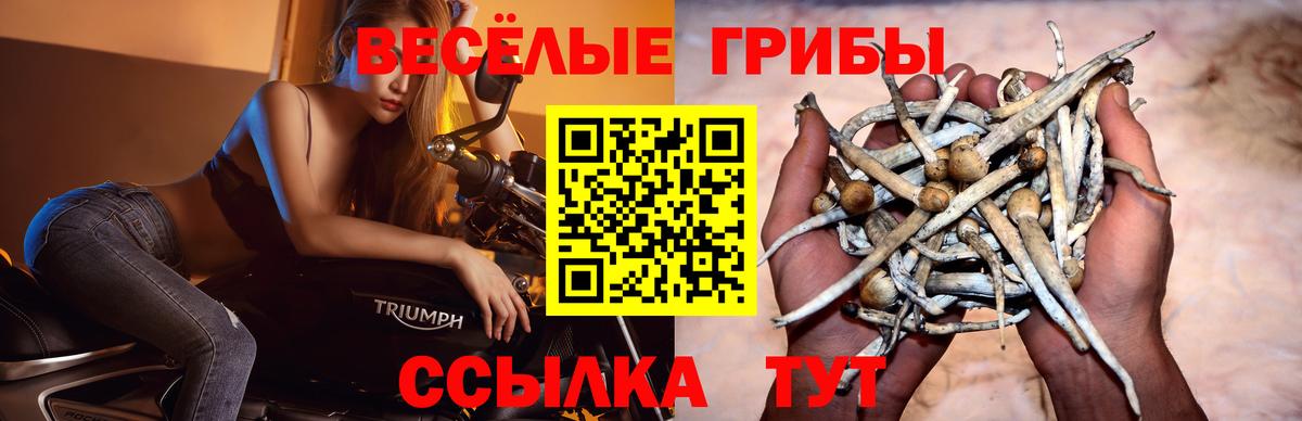 Галлюциногенные грибы мухоморы  Галлюциногенные грибы Cubensis  Алейск  Вход с VPN 